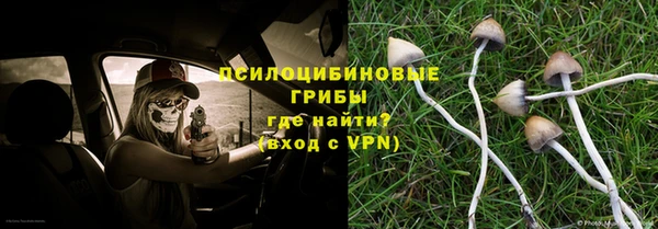 СК Вяземский