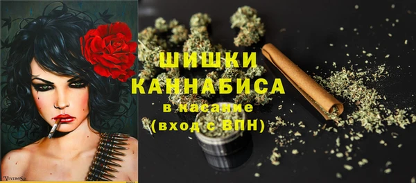 СК Вяземский