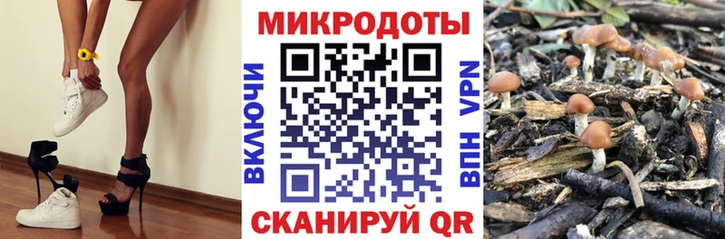 где купить наркоту  Избербаш  площадка состав  Псилоцибиновые грибы Magic Shrooms 